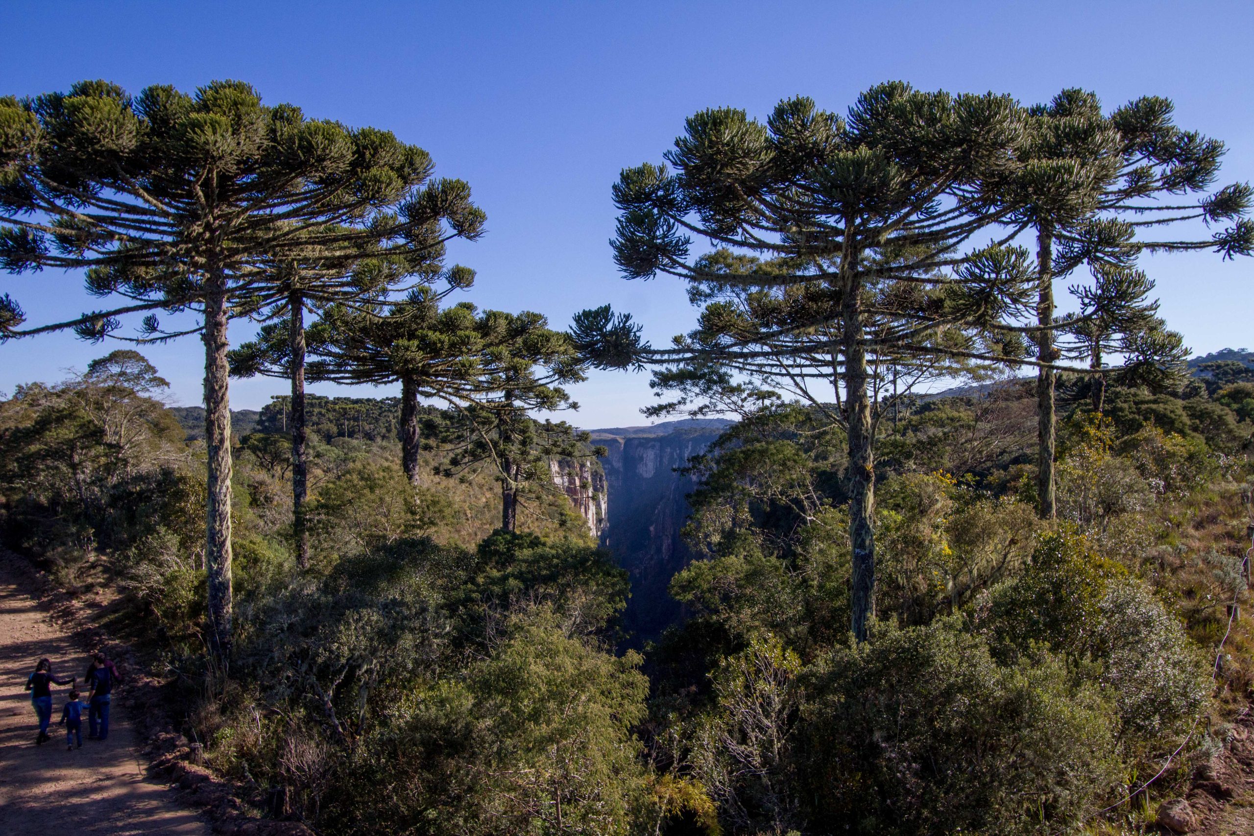 Itaimbezinho Canyon, Brazil